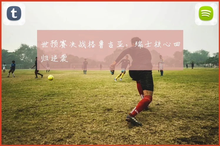 世预赛决战格鲁吉亚，瑞士核心回归逆袭