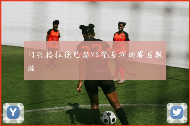 门兴格拉德巴赫vs霍芬海姆赛后数据