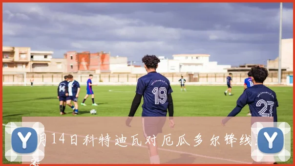 6月14日科特迪瓦对厄瓜多尔锋线效率